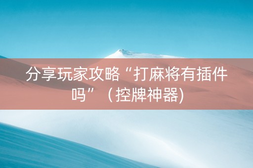 分享玩家攻略“打麻将有插件吗”（控牌神器)
