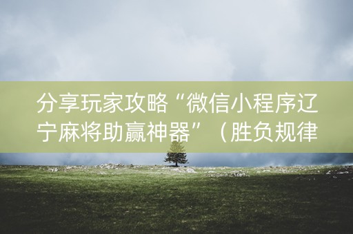 分享玩家攻略“微信小程序辽宁麻将助赢神器”（胜负规律拿好牌)