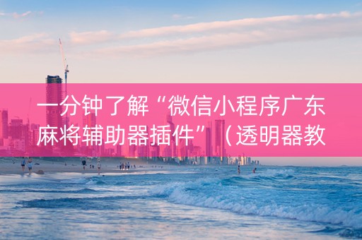 一分钟了解“微信小程序广东麻将辅助器插件”（透明器教程)
