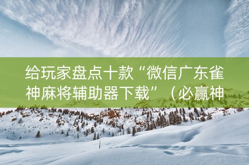 给玩家盘点十款“微信广东雀神麻将辅助器下载”（必赢神器免费安装)