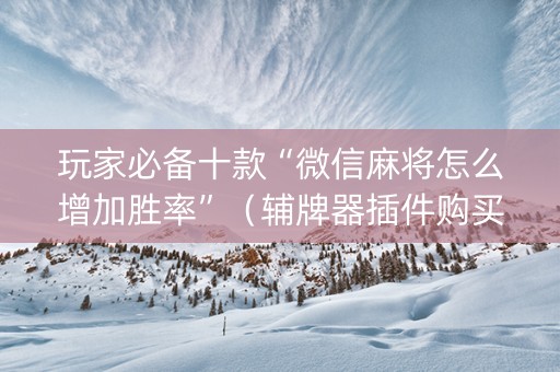 玩家必备十款“微信麻将怎么增加胜率”（辅牌器插件购买)