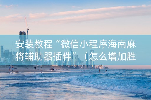 安装教程“微信小程序海南麻将辅助器插件”（怎么增加胜率)