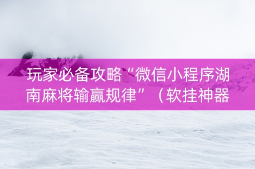 玩家必备攻略“微信小程序湖南麻将输赢规律”（软挂神器)