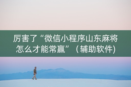 厉害了“微信小程序山东麻将怎么才能常赢”（辅助软件)