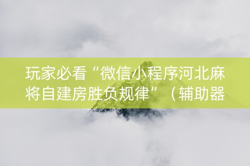 玩家必看“微信小程序河北麻将自建房胜负规律”（辅助器通用版)