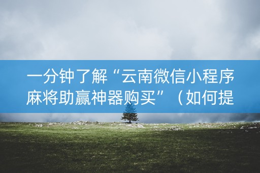 一分钟了解“云南微信小程序麻将助赢神器购买”（如何提高胜率)