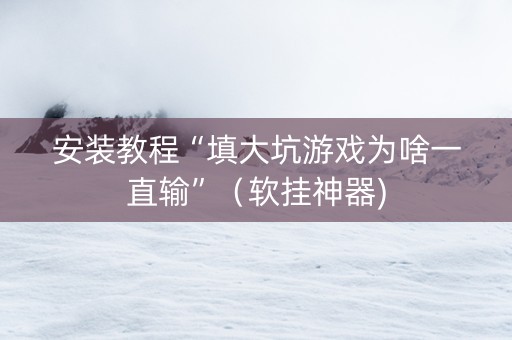 安装教程“填大坑游戏为啥一直输”（软挂神器)