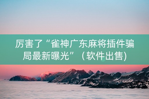 厉害了“雀神广东麻将插件骗局最新曝光”（软件出售)
