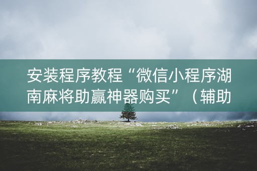 安装程序教程“微信小程序湖南麻将助赢神器购买”（辅助神器免费)