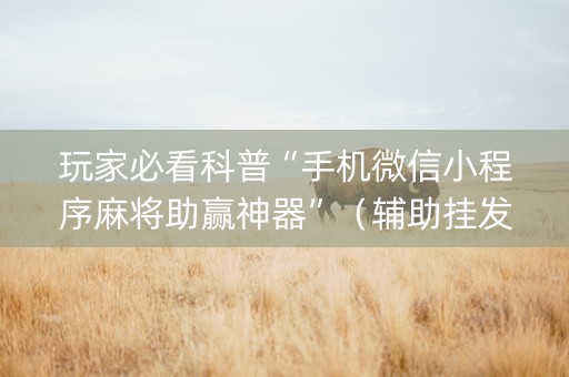 玩家必看科普“手机微信小程序麻将助赢神器”（辅助挂发牌规律)
