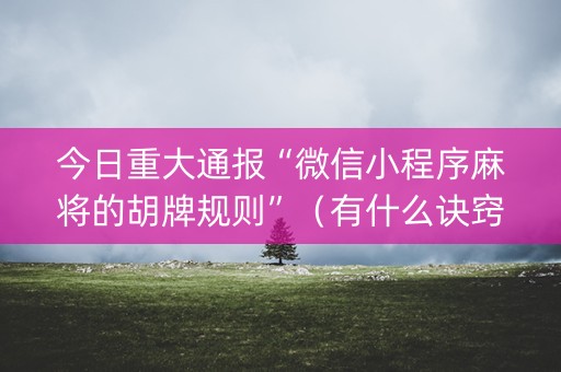 今日重大通报“微信小程序麻将的胡牌规则”（有什么诀窍)