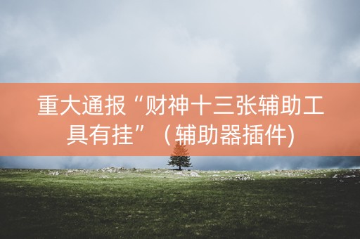 重大通报“财神十三张辅助工具有挂”（辅助器插件)
