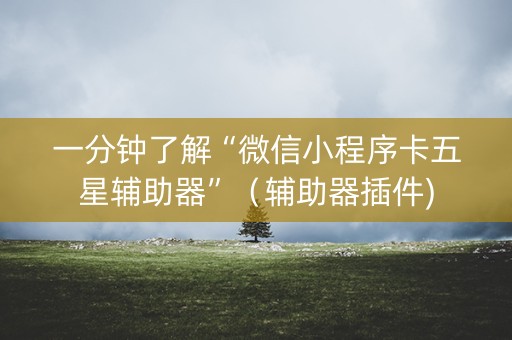 一分钟了解“微信小程序卡五星辅助器”（辅助器插件)