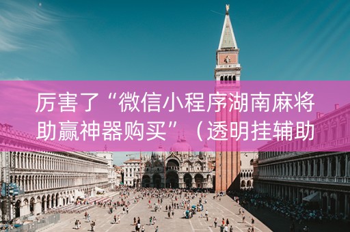 厉害了“微信小程序湖南麻将助赢神器购买”（透明挂辅助器)