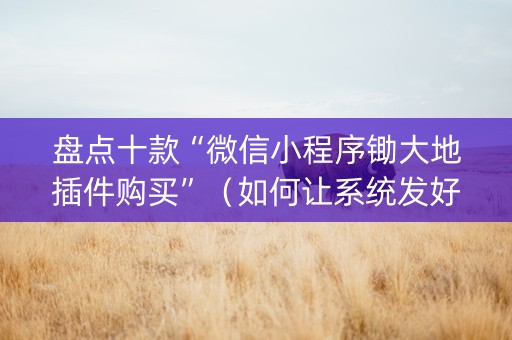 盘点十款“微信小程序锄大地插件购买”（如何让系统发好牌)