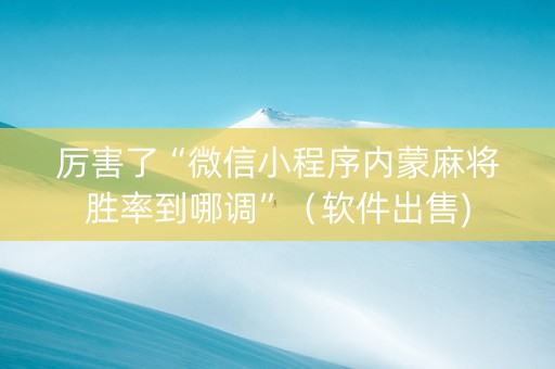 厉害了“微信小程序内蒙麻将胜率到哪调”（软件出售)
