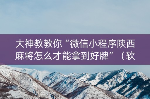 大神教教你“微信小程序陕西麻将怎么才能拿到好牌”（软挂神器)