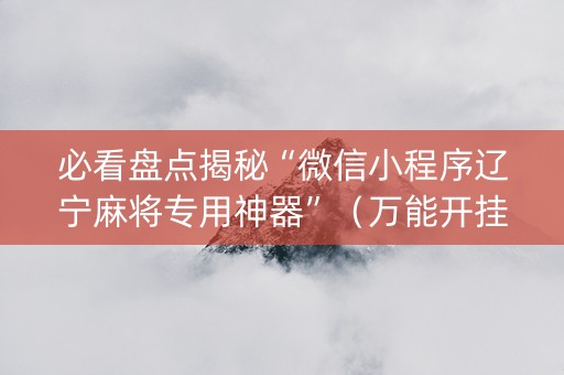 必看盘点揭秘“微信小程序辽宁麻将专用神器”（万能开挂神器)