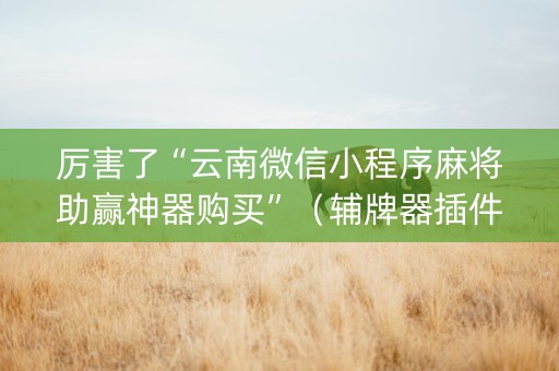 厉害了“云南微信小程序麻将助赢神器购买”（辅牌器插件购买)