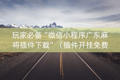 玩家必备“微信小程序广东麻将插件下载”（插件开挂免费AI)