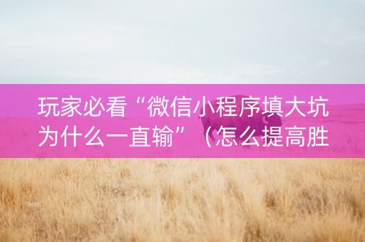 玩家必看“微信小程序填大坑为什么一直输”（怎么提高胜率)