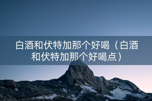 白酒和伏特加那个好喝（白酒和伏特加那个好喝点）