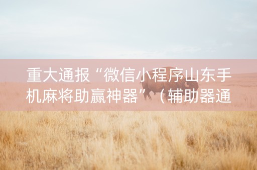 重大通报“微信小程序山东手机麻将助赢神器”（辅助器通用版)