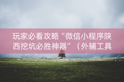 玩家必看攻略“微信小程序陕西挖坑必胜神器”（外辅工具)