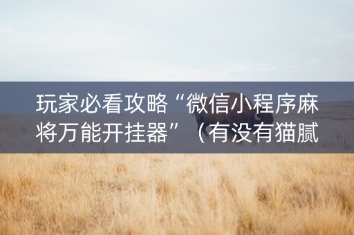 玩家必看攻略“微信小程序麻将万能开挂器”（有没有猫腻)
