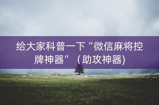 给大家科普一下“微信麻将控牌神器”（助攻神器)