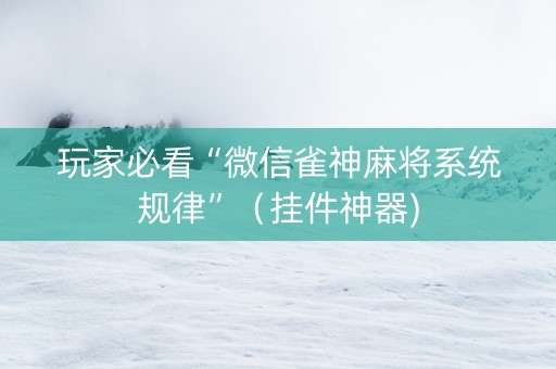 玩家必看“微信雀神麻将系统规律”（挂件神器)