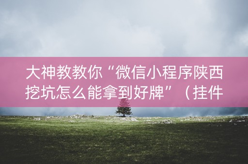 大神教教你“微信小程序陕西挖坑怎么能拿到好牌”（挂件神器)