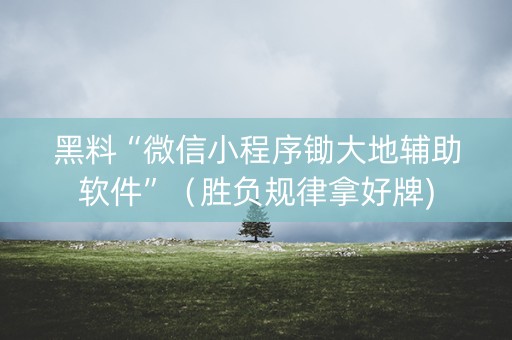 黑料“微信小程序锄大地辅助软件”（胜负规律拿好牌)