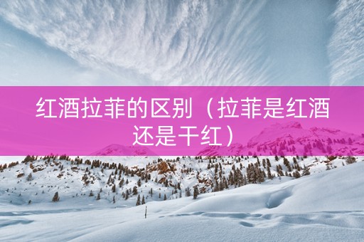 红酒拉菲的区别（拉菲是红酒还是干红）