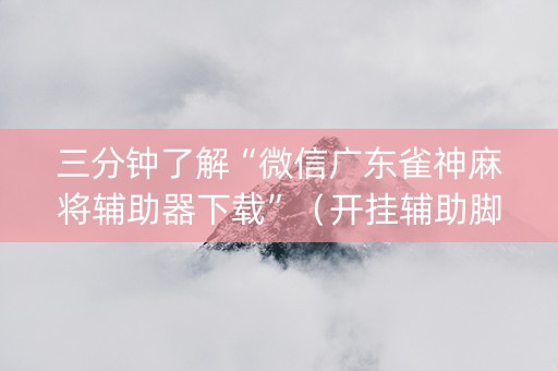 三分钟了解“微信广东雀神麻将辅助器下载”（开挂辅助脚本)