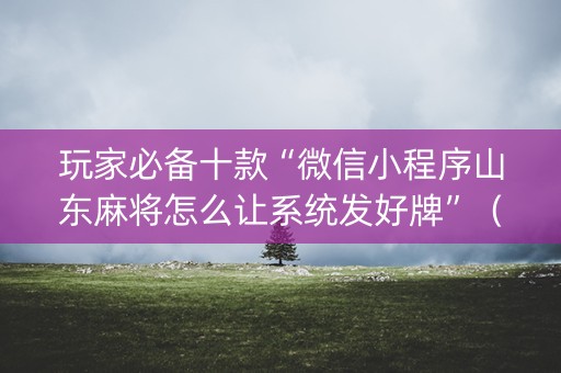 玩家必备十款“微信小程序山东麻将怎么让系统发好牌”（透明器教程)