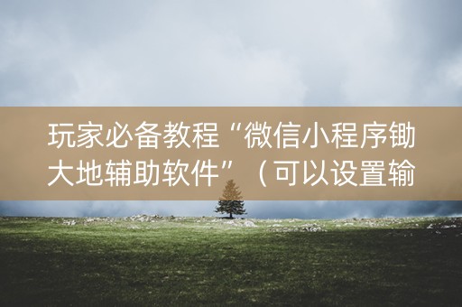 玩家必备教程“微信小程序锄大地辅助软件”（可以设置输赢吗)