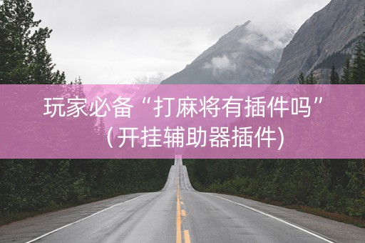 玩家必备“打麻将有插件吗”（开挂辅助器插件)
