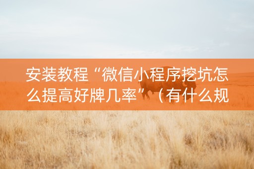 安装教程“微信小程序挖坑怎么提高好牌几率”（有什么规律)