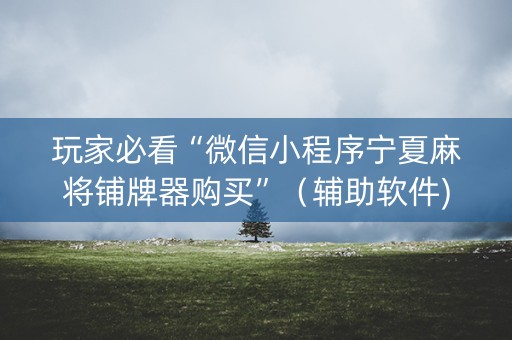 玩家必看“微信小程序宁夏麻将铺牌器购买”（辅助软件)