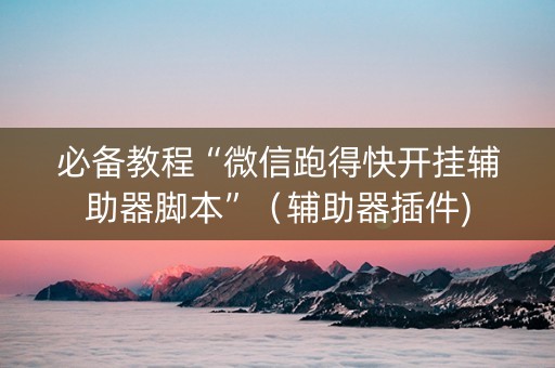 必备教程“微信跑得快开挂辅助器脚本”（辅助器插件)
