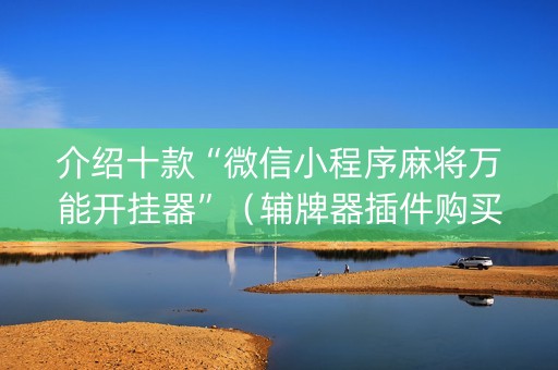 介绍十款“微信小程序麻将万能开挂器”（辅牌器插件购买)
