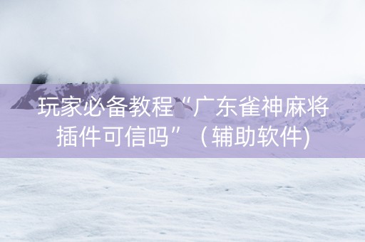 玩家必备教程“广东雀神麻将插件可信吗”（辅助软件)
