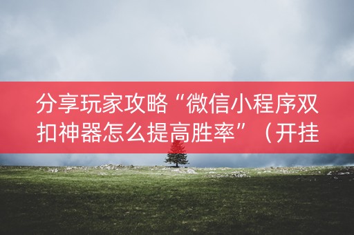 分享玩家攻略“微信小程序双扣神器怎么提高胜率”（开挂辅助器插件)