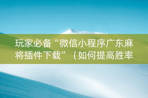 玩家必备“微信小程序广东麻将插件下载”（如何提高胜率)