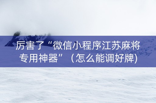 厉害了“微信小程序江苏麻将专用神器”（怎么能调好牌)