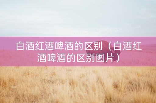 白酒红酒啤酒的区别（白酒红酒啤酒的区别图片）