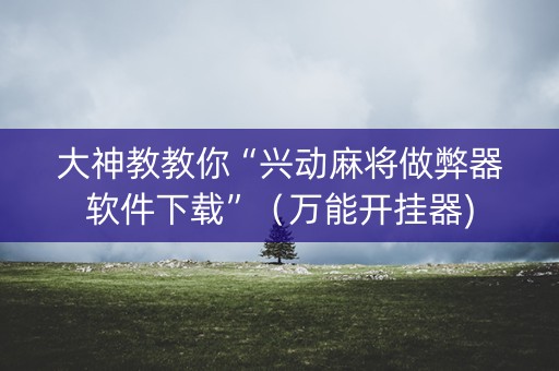 大神教教你“兴动麻将做弊器软件下载”（万能开挂器)