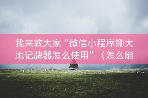 我来教大家“微信小程序锄大地记牌器怎么使用”（怎么能让牌好一点)