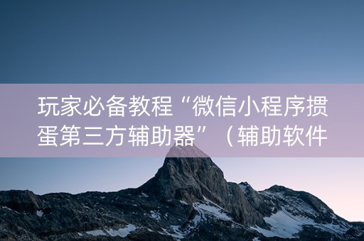 玩家必备教程“微信小程序掼蛋第三方辅助器”（辅助软件)